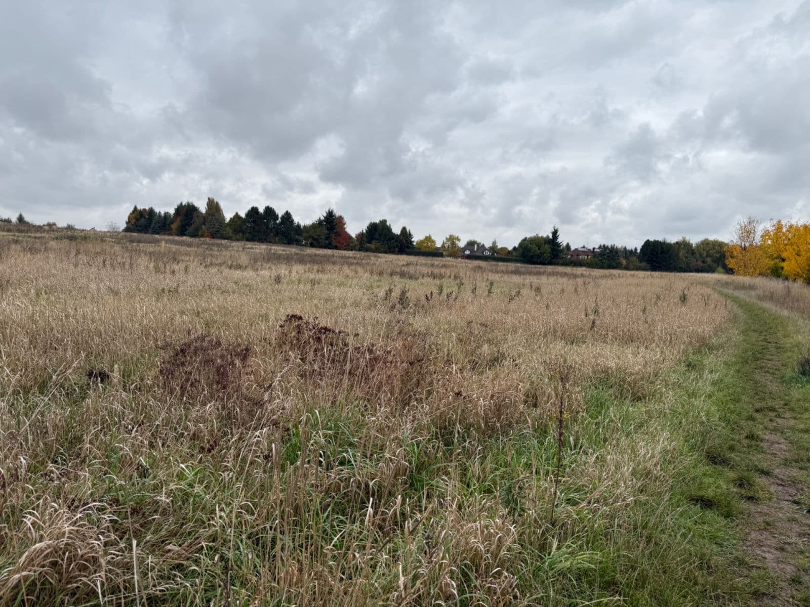 Prenájom pozemku 2.600 m², Úhonice, Středočeský kraj Prenájom pozemku 2.600 m², Úhonice, Středočeský kraj
