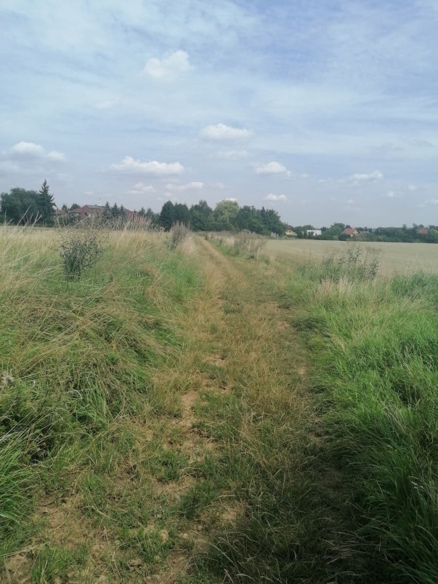 Prenájom pozemku 2.600 m², Úhonice, Středočeský kraj Prenájom pozemku 2.600 m², Úhonice, Středočeský kraj