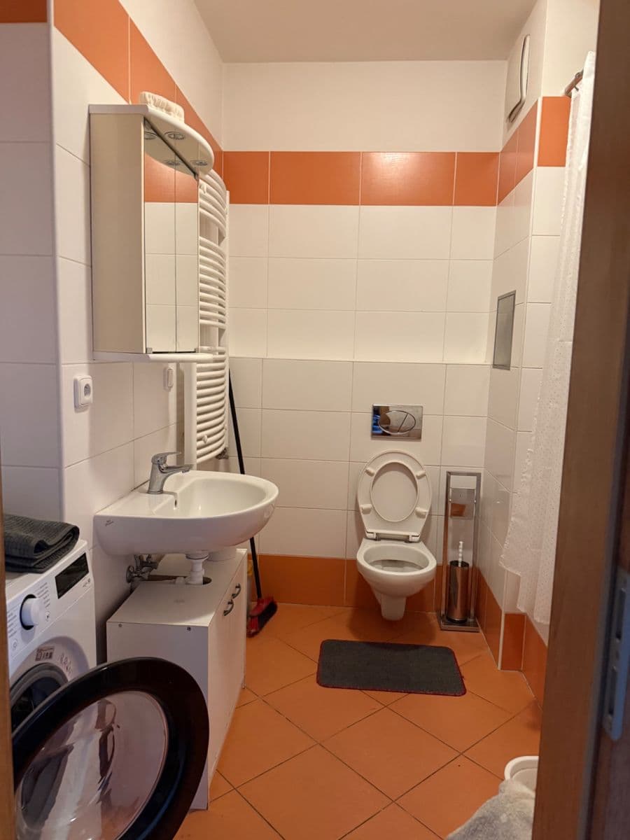 Prenájom bytu 1-izbový 33 m², Miroslava Hajna, Praha, Praha Prenájom bytu 1-izbový 33 m², Miroslava Hajna, Praha, Praha