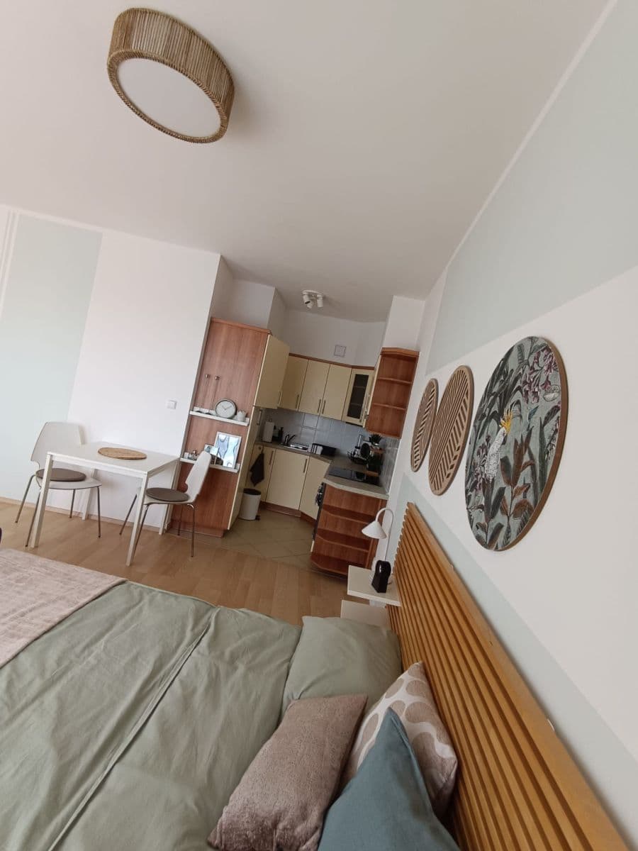 Prenájom bytu 1-izbový 45 m², Nademlejnská, Praha, Praha Prenájom bytu 1-izbový 45 m², Nademlejnská, Praha, Praha