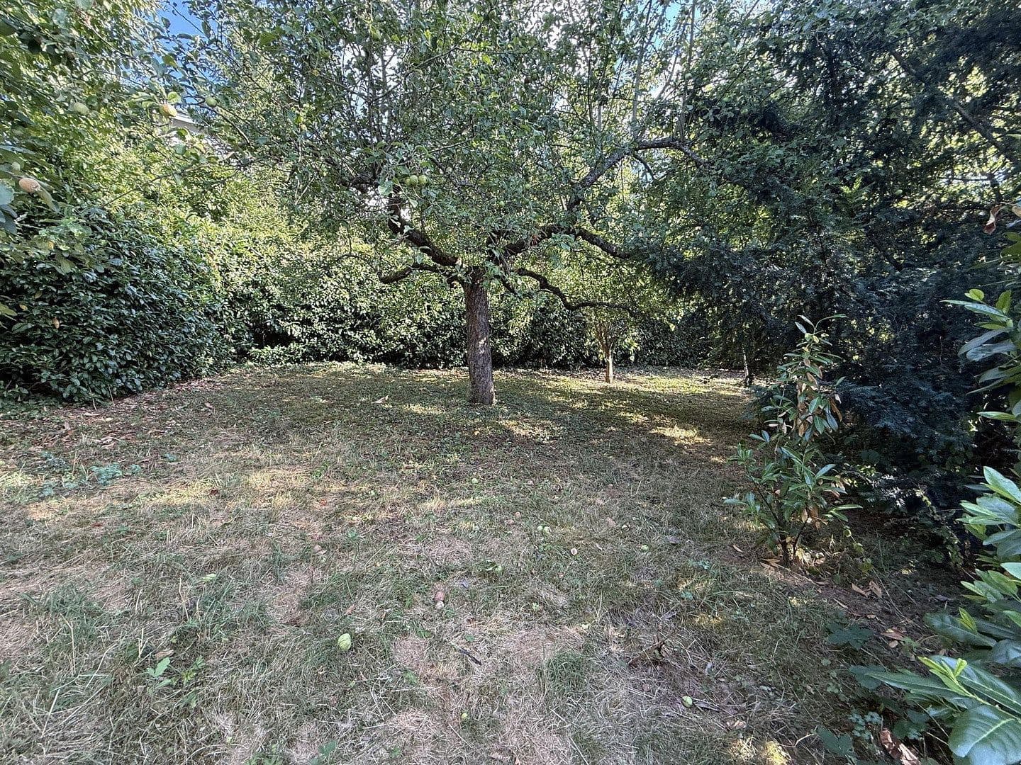 Predaj domu 231 m², pozemok 956 m², Gustav Freytag Straße, Wertheim, Bádensko-Wurttembersko Predaj domu 231 m², pozemok 956 m², Gustav Freytag Straße, Wertheim, Bádensko-Wurttembersko