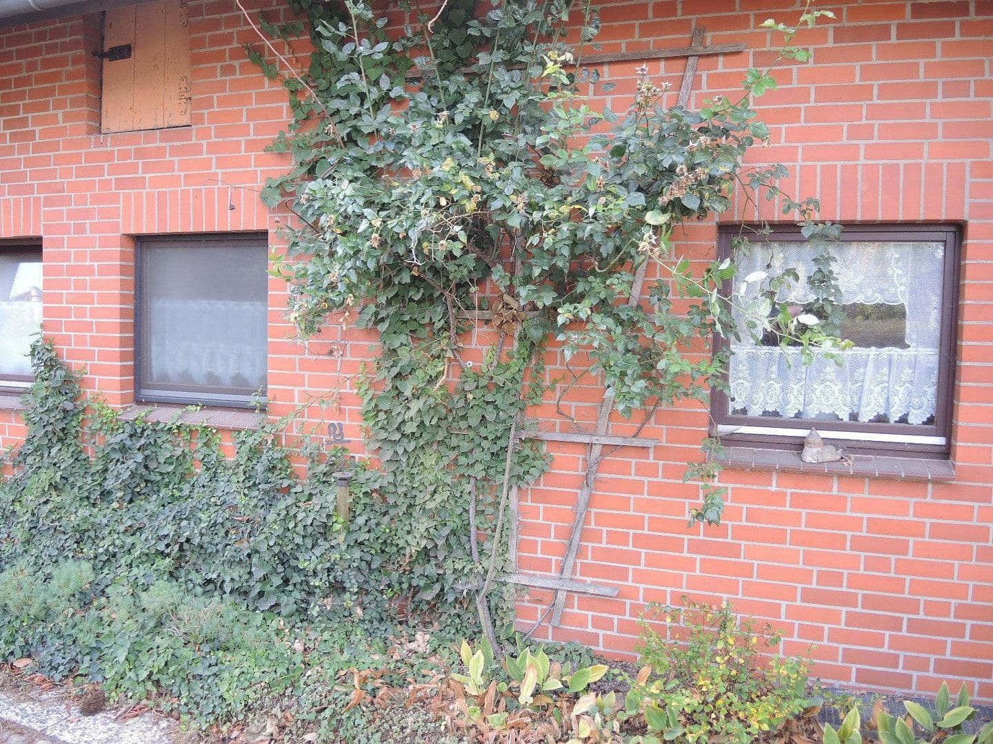 Predaj domu 190 m², pozemok 1.000 m², Am Winkel 1, Lemgow, Dolné Sasko Predaj domu 190 m², pozemok 1.000 m², Am Winkel 1, Lemgow, Dolné Sasko