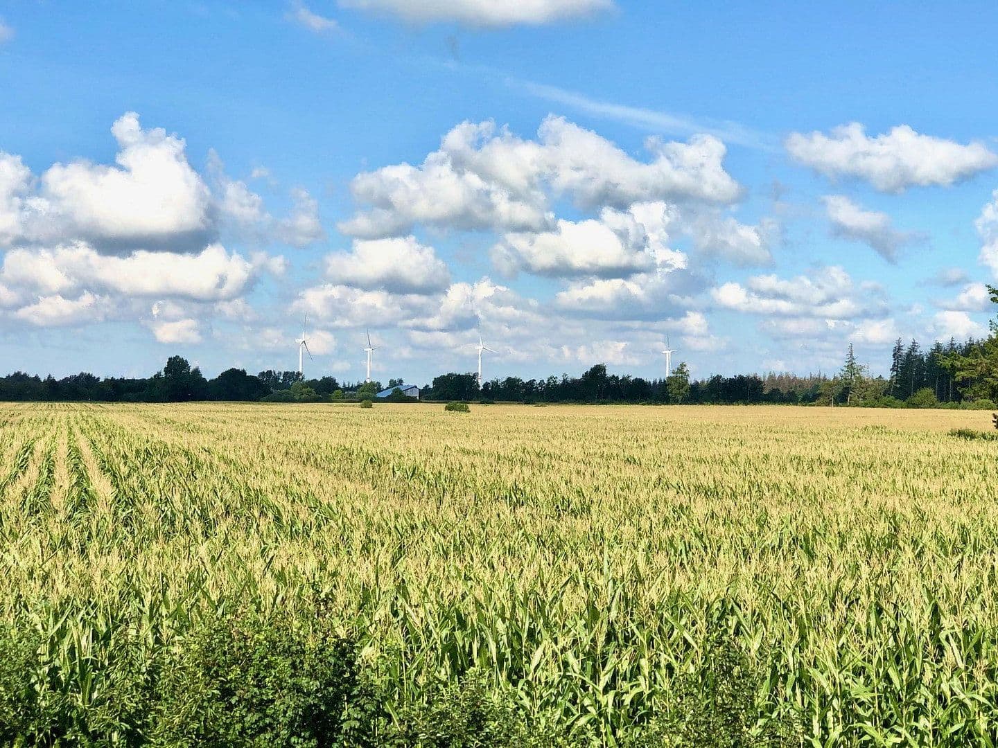 Predaj domu 291 m², pozemok 5.500 m², Högel, Šlezvicko-Holštajnsko Predaj domu 291 m², pozemok 5.500 m², Högel, Šlezvicko-Holštajnsko