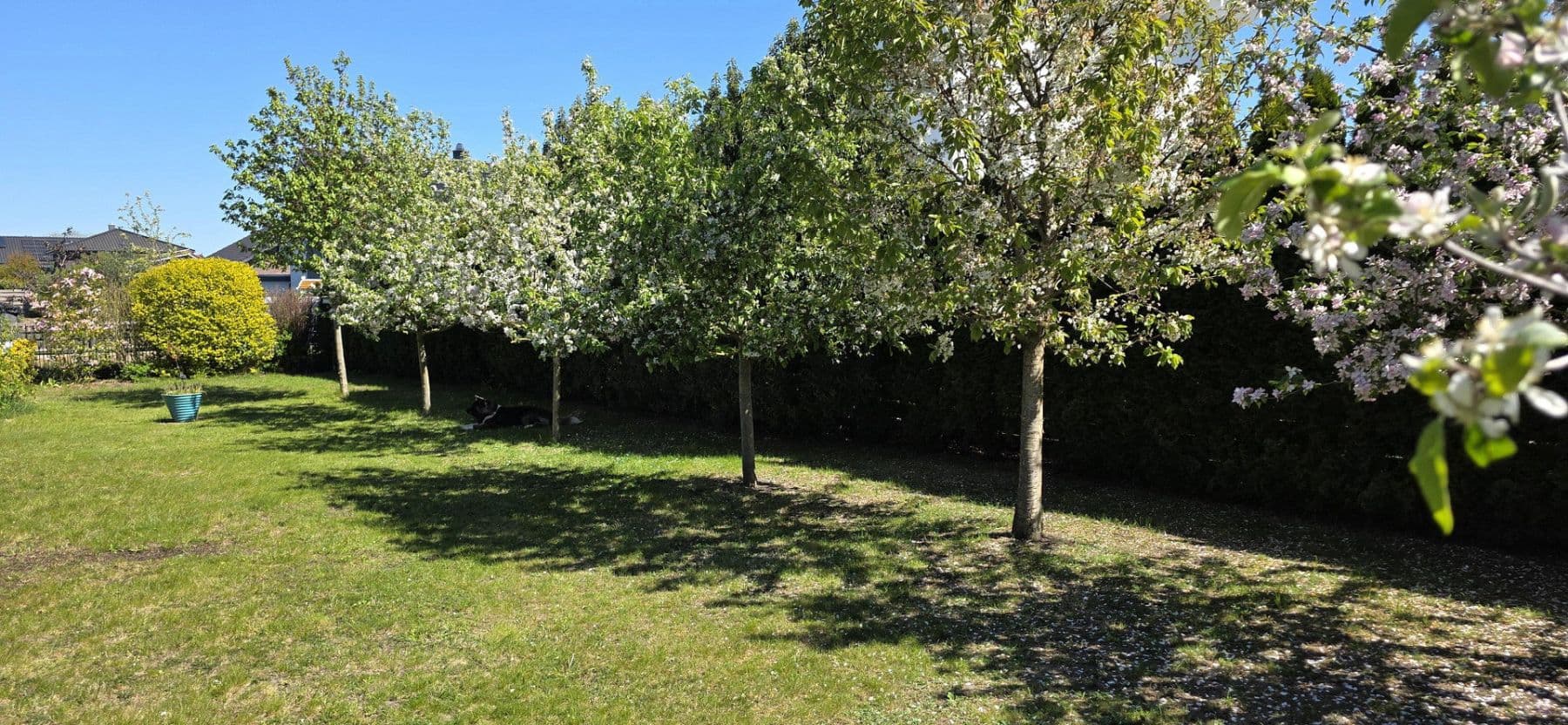 Predaj domu 242 m², pozemok 1.040 m², Riede, Dolné Sasko Predaj domu 242 m², pozemok 1.040 m², Riede, Dolné Sasko