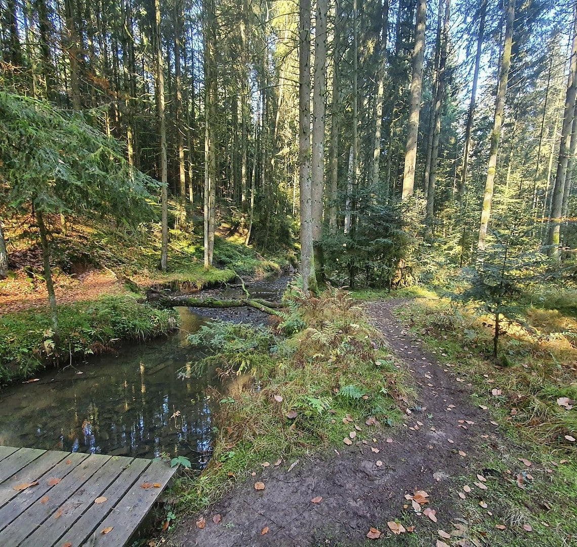 Predaj pozemku 2.435 m², Alfdorf, Bádensko-Wurttembersko Predaj pozemku 2.435 m², Alfdorf, Bádensko-Wurttembersko