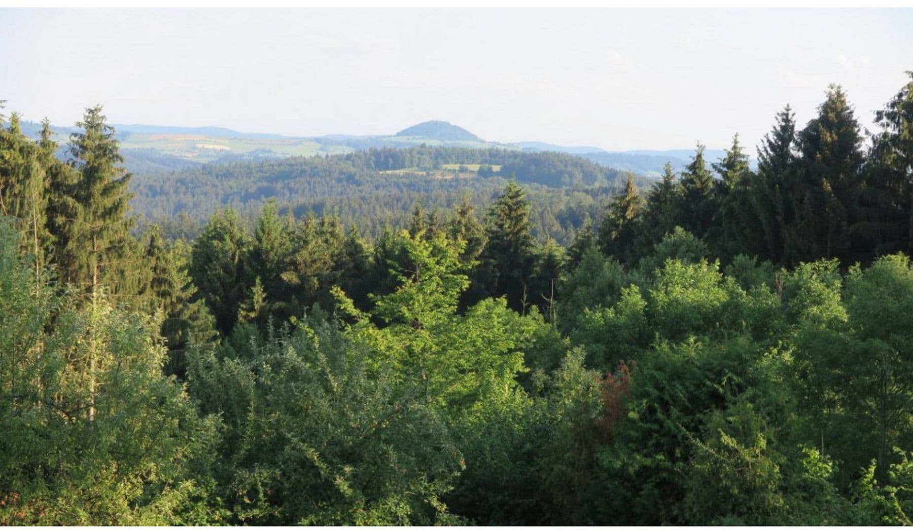 Predaj pozemku 2.435 m², Alfdorf, Bádensko-Wurttembersko Predaj pozemku 2.435 m², Alfdorf, Bádensko-Wurttembersko