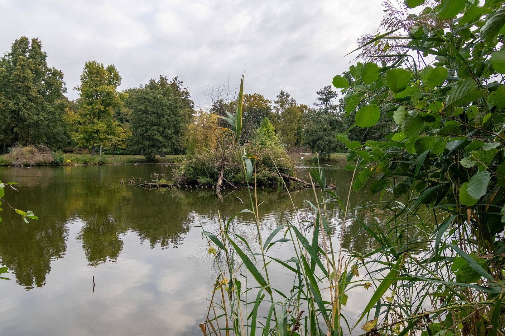 Prenájom bytu 1-izbový 60 m², Berlin, Berlín Prenájom bytu 1-izbový 60 m², Berlin, Berlín