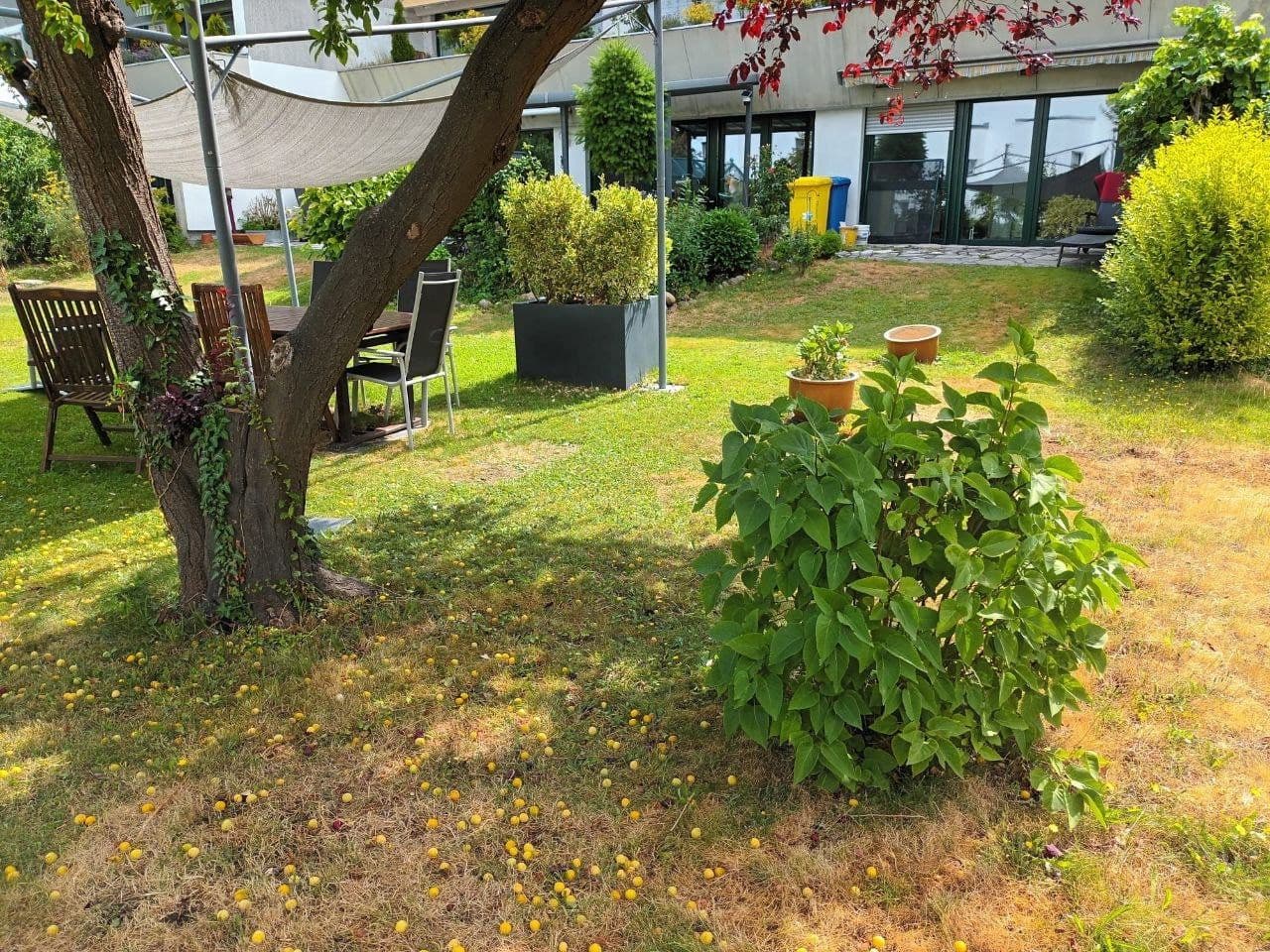 Prenájom bytu 1-izbový 60 m², Berlin, Berlín Prenájom bytu 1-izbový 60 m², Berlin, Berlín