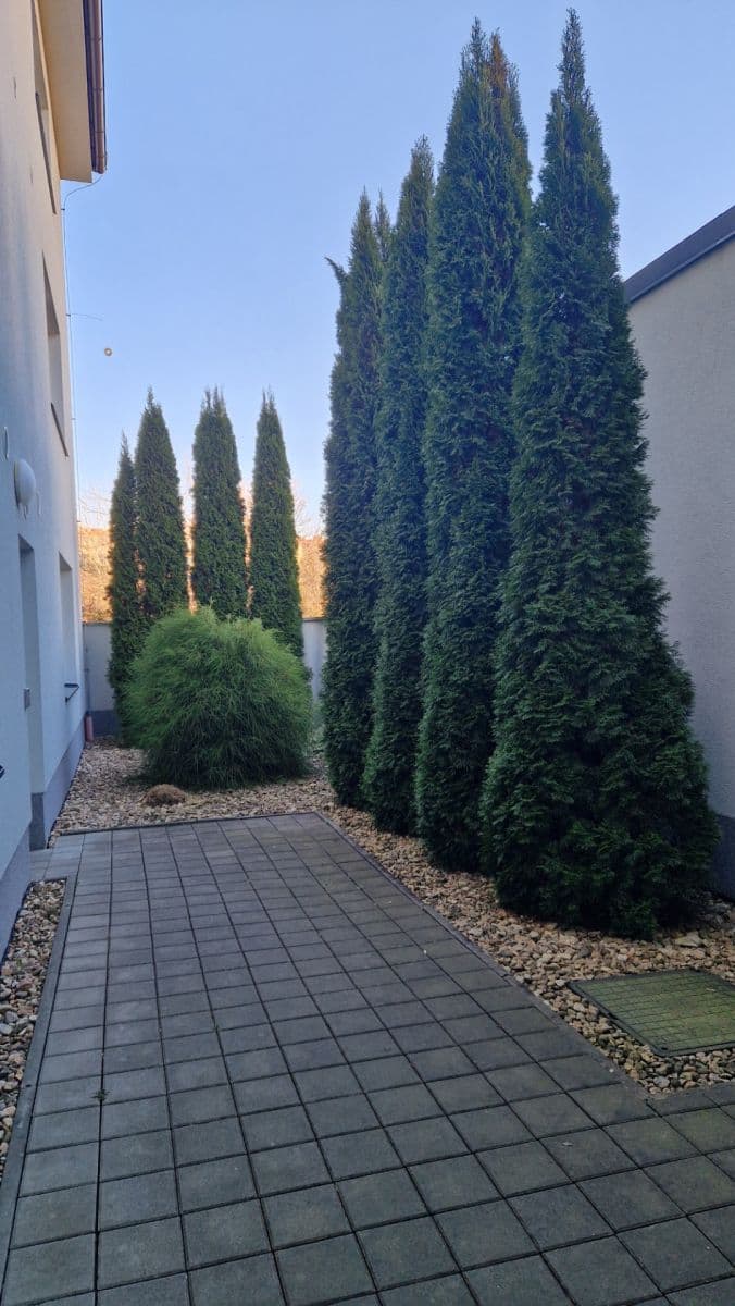 Prenájom bytu 1-izbový 36 m², Šafaříkova, Brno, Jihomoravský kraj Prenájom bytu 1-izbový 36 m², Šafaříkova, Brno, Jihomoravský kraj