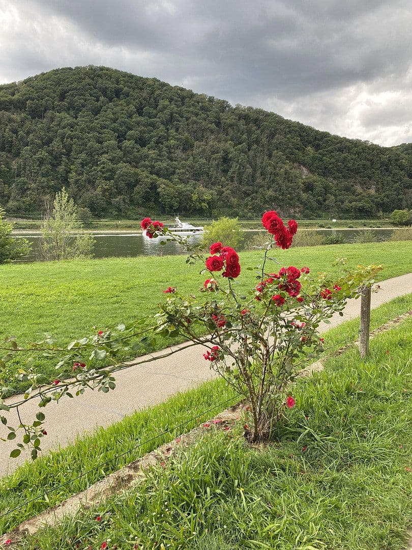 Prenájom bytu 2-izbový 45 m², Lahnstein, Porýnie-Falcko Prenájom bytu 2-izbový 45 m², Lahnstein, Porýnie-Falcko