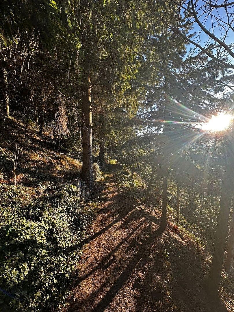 Predaj domu 380 m², pozemok 8.200 m², Kronawettersiedlung 7, Kapfenberg, Štajersko Predaj domu 380 m², pozemok 8.200 m², Kronawettersiedlung 7, Kapfenberg, Štajersko