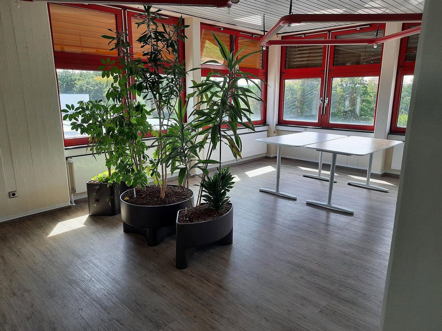 Prenájom kancelárie 320 m², Bühlinger Strassse 56, Neustadt (Wied), Porýnie-Falcko Prenájom kancelárie 320 m², Bühlinger Strassse 56, Neustadt (Wied), Porýnie-Falcko