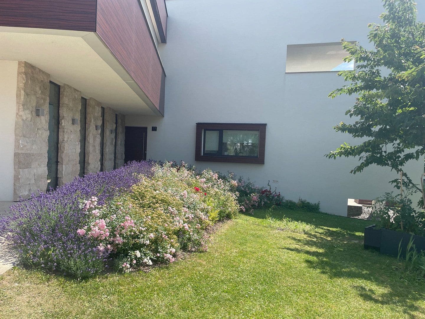 Predaj domu 460 m², pozemok 1.073 m², Gramastetten, Horné Rakúsko Predaj domu 460 m², pozemok 1.073 m², Gramastetten, Horné Rakúsko