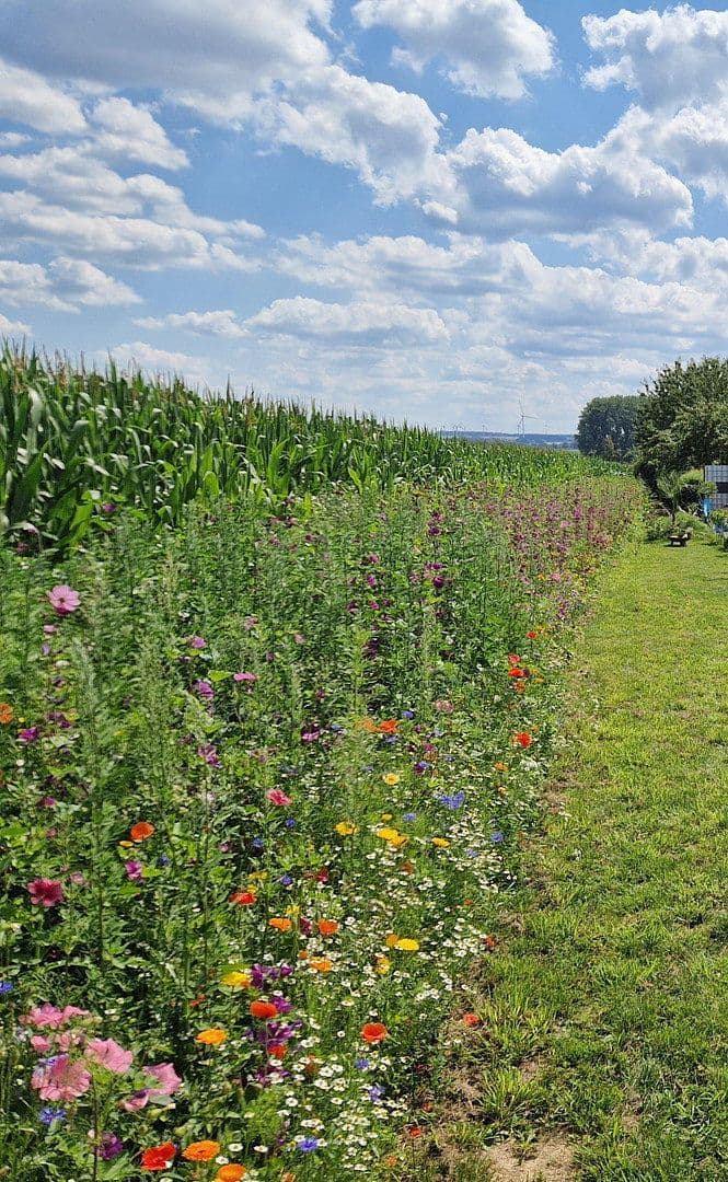 Predaj domu 144 m², pozemok 589 m², Soest, Severné Porýnie - Westfálsko Predaj domu 144 m², pozemok 589 m², Soest, Severné Porýnie - Westfálsko