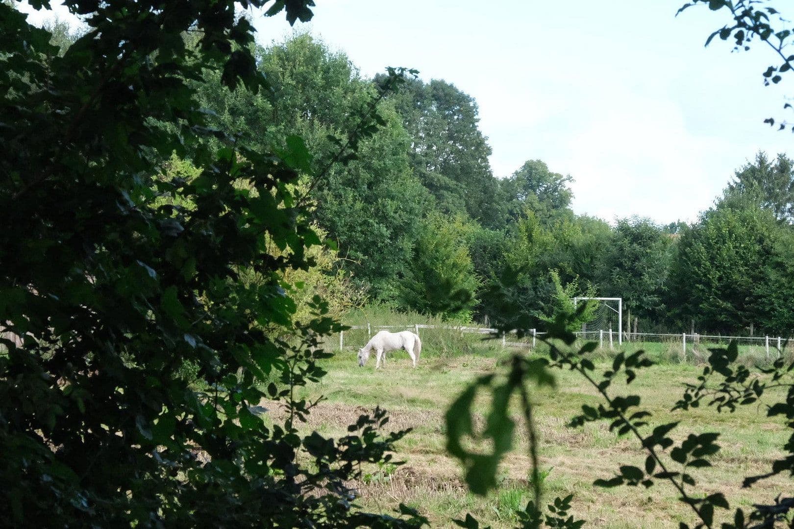 Predaj pozemku 857 m², Eschenweg, Lüdersburg, Dolné Sasko Predaj pozemku 857 m², Eschenweg, Lüdersburg, Dolné Sasko