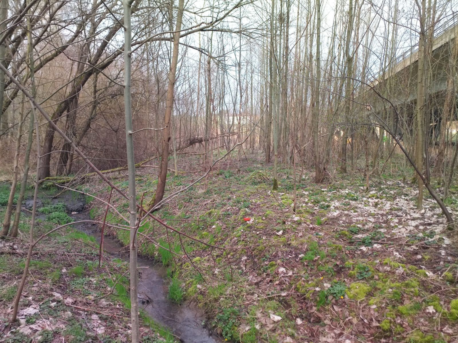 Predaj pozemku 1.145 m², Klimkovice, Moravskoslezský kraj Predaj pozemku 1.145 m², Klimkovice, Moravskoslezský kraj