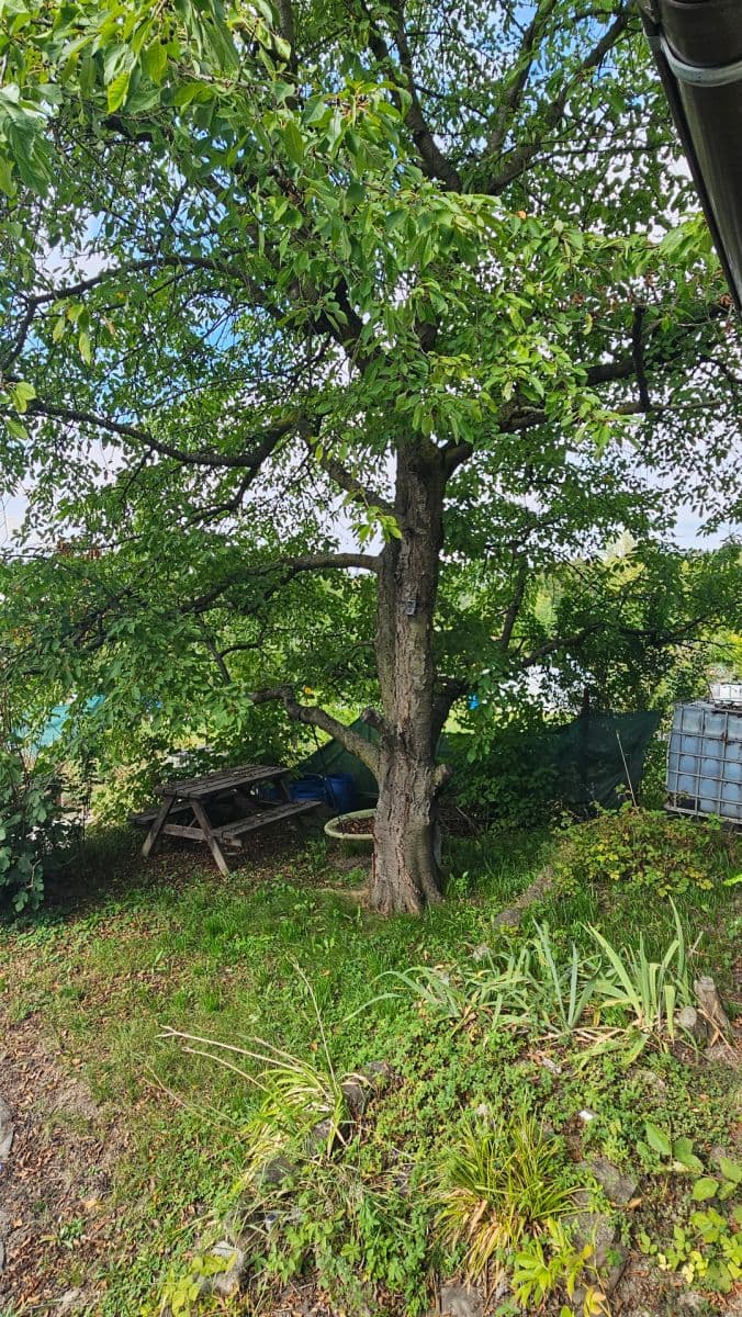 Predaj rekreačného objektu 650 m², pozemok 650 m², Štětí, Ústecký kraj Predaj rekreačného objektu 650 m², pozemok 650 m², Štětí, Ústecký kraj