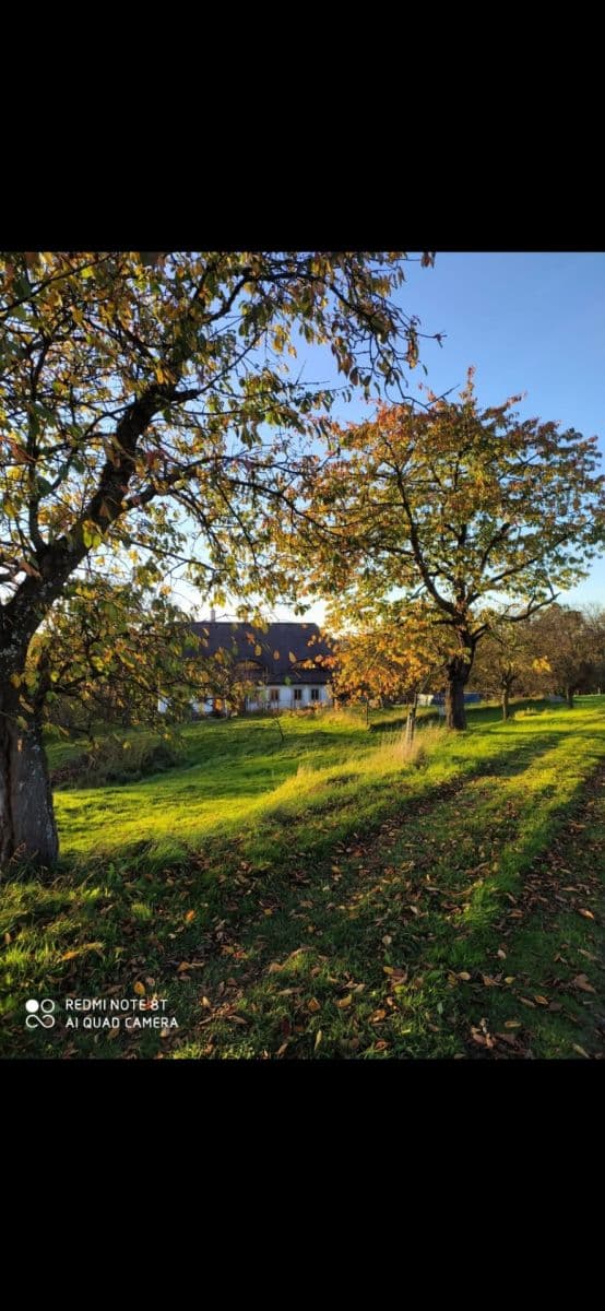 Predaj domu 191 m², pozemok 4.200 m², Dolní Tošanovice, Moravskoslezský kraj Predaj domu 191 m², pozemok 4.200 m², Dolní Tošanovice, Moravskoslezský kraj