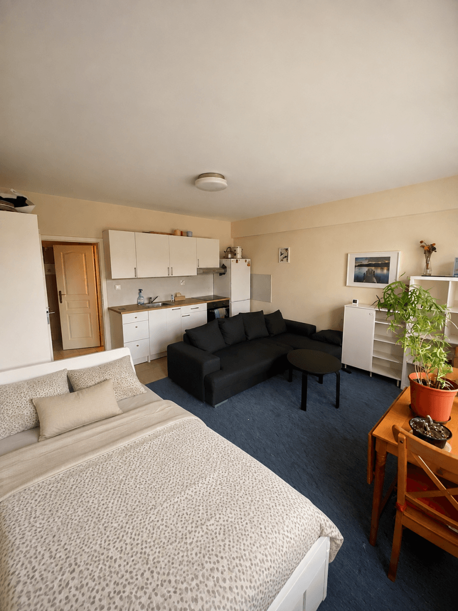Prenájom bytu 30 m², Dalimilova, Praha, Praha Prenájom bytu 30 m², Dalimilova, Praha, Praha
