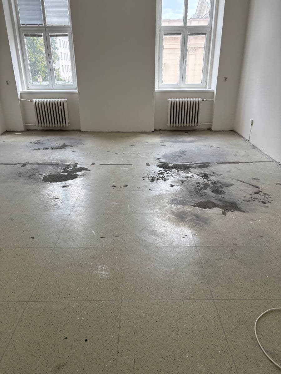 Prenájom kancelárie 118 m², Kounicova, Brno, Jihomoravský kraj Prenájom kancelárie 118 m², Kounicova, Brno, Jihomoravský kraj