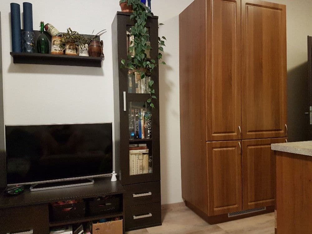 Prenájom bytu 2-izbový 44 m², Holandská, Praha, Praha Prenájom bytu 2-izbový 44 m², Holandská, Praha, Praha