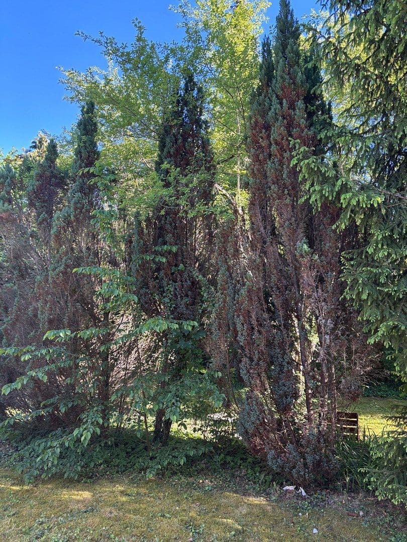 Prenájom bytu 5-izbový 115 m², Grünwald, Bavorsko Prenájom bytu 5-izbový 115 m², Grünwald, Bavorsko