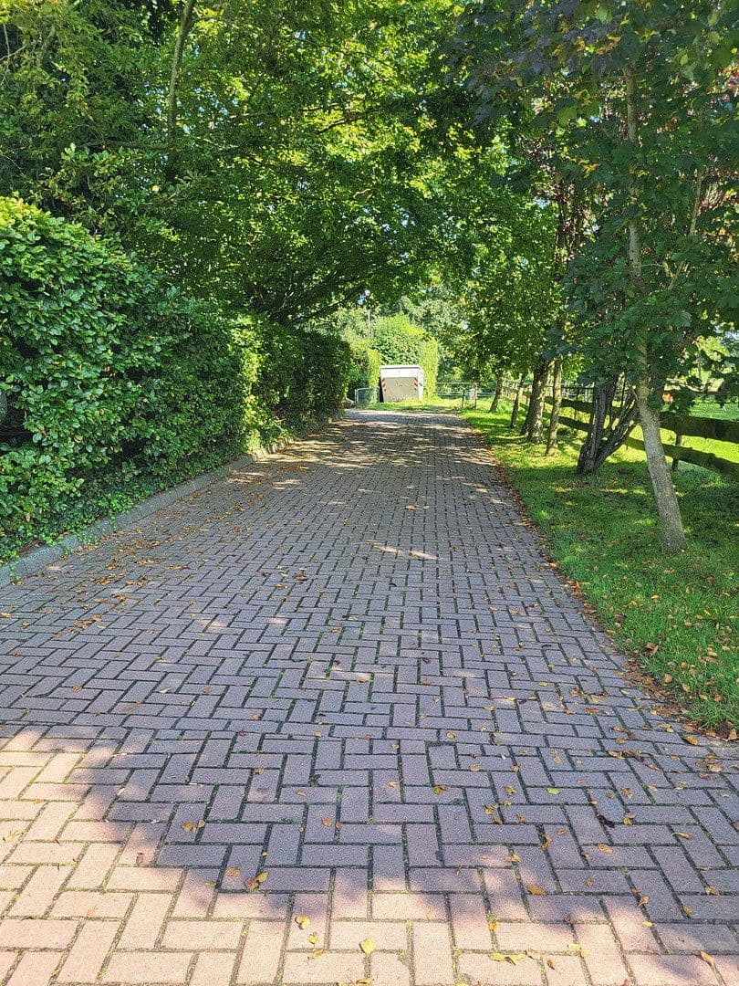 Predaj domu 360 m², pozemok 9.300 m², Halbemond, Dolné Sasko Predaj domu 360 m², pozemok 9.300 m², Halbemond, Dolné Sasko