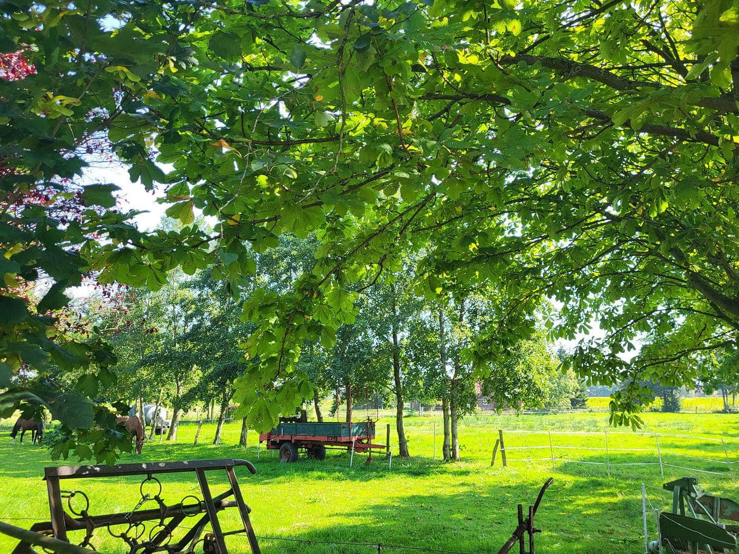 Predaj domu 360 m², pozemok 9.300 m², Halbemond, Dolné Sasko Predaj domu 360 m², pozemok 9.300 m², Halbemond, Dolné Sasko