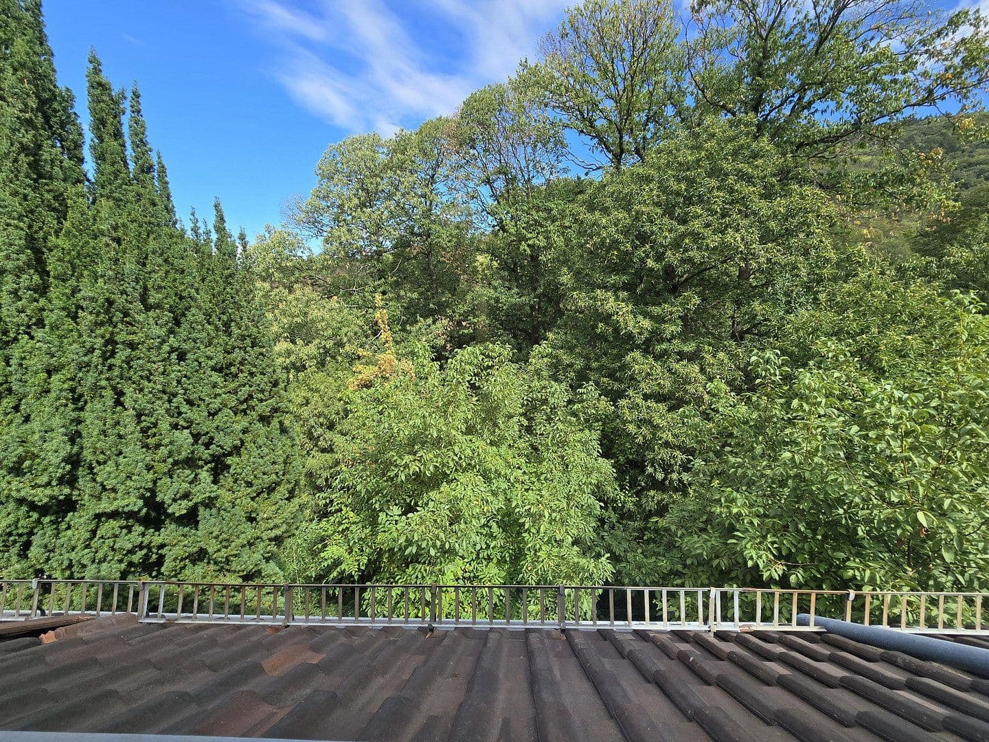 Predaj domu 247 m², pozemok 652 m², Heidelberg, Bádensko-Wurttembersko Predaj domu 247 m², pozemok 652 m², Heidelberg, Bádensko-Wurttembersko