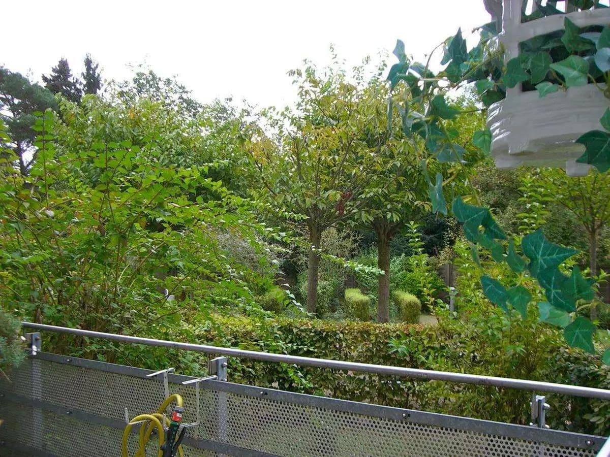 Prenájom bytu 2-izbový 71 m², Dorothenstrasse, Bad Homburg vor der Höhe, Hesensko Prenájom bytu 2-izbový 71 m², Dorothenstrasse, Bad Homburg vor der Höhe, Hesensko