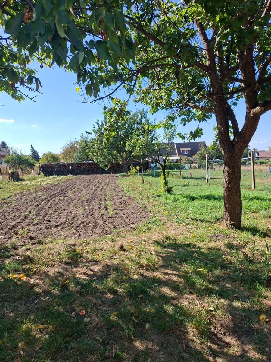 Predaj domu 459 m², pozemok 988 m², Dobré Pole, Jihomoravský kraj Predaj domu 459 m², pozemok 988 m², Dobré Pole, Jihomoravský kraj