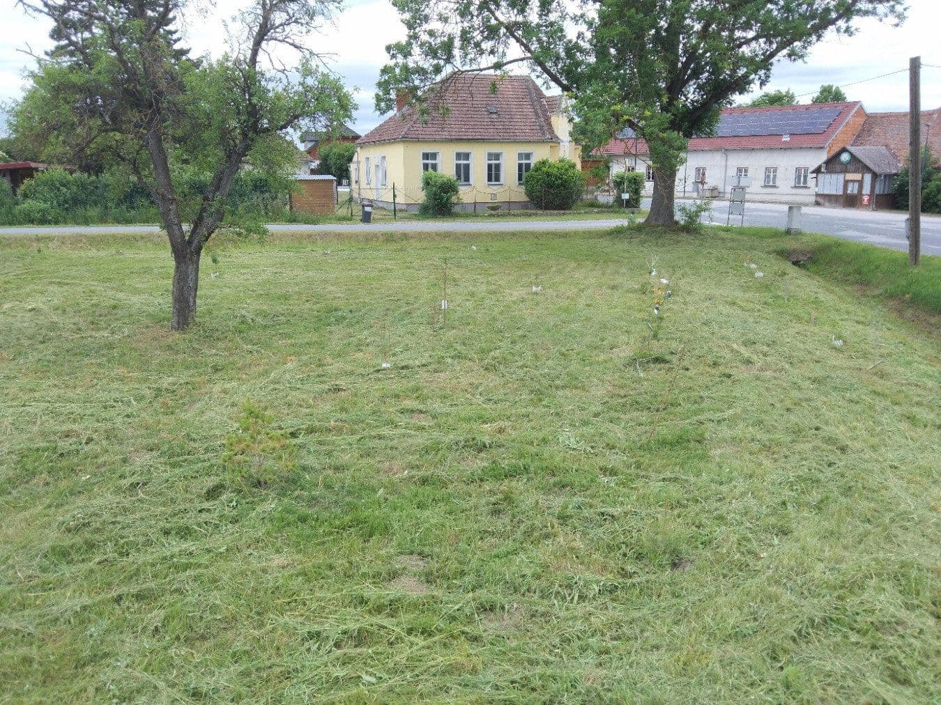 Prenájom bytu 5-izbový 70 m², Heinrichsreith 28, Drosendorf-Zissersdorf, Dolné Rakúsko Prenájom bytu 5-izbový 70 m², Heinrichsreith 28, Drosendorf-Zissersdorf, Dolné Rakúsko