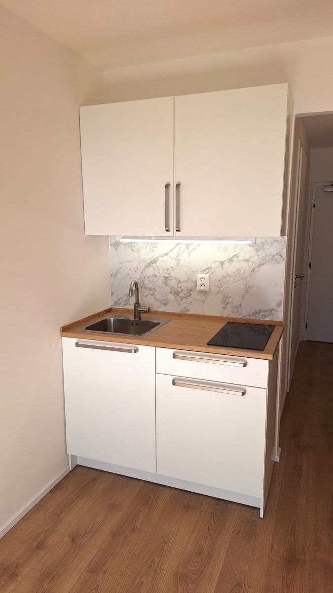 Prenájom bytu 1-izbový 23 m², Čenětická, Praha, Praha Prenájom bytu 1-izbový 23 m², Čenětická, Praha, Praha