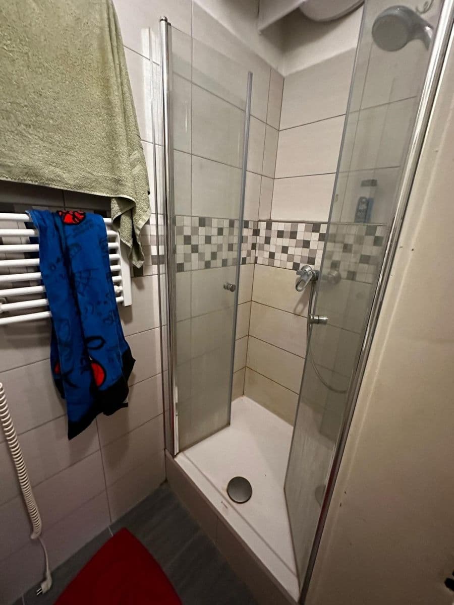 Prenájom bytu 1-izbový 38 m², Seifertova, Praha, Praha Prenájom bytu 1-izbový 38 m², Seifertova, Praha, Praha