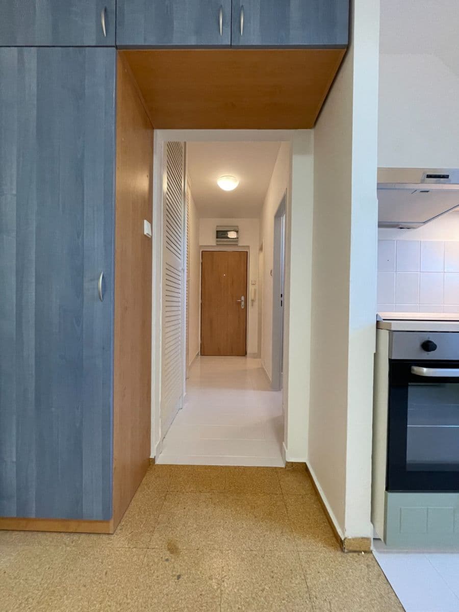 Prenájom bytu 1-izbový 37 m², Högrova, Brno, Jihomoravský kraj Prenájom bytu 1-izbový 37 m², Högrova, Brno, Jihomoravský kraj