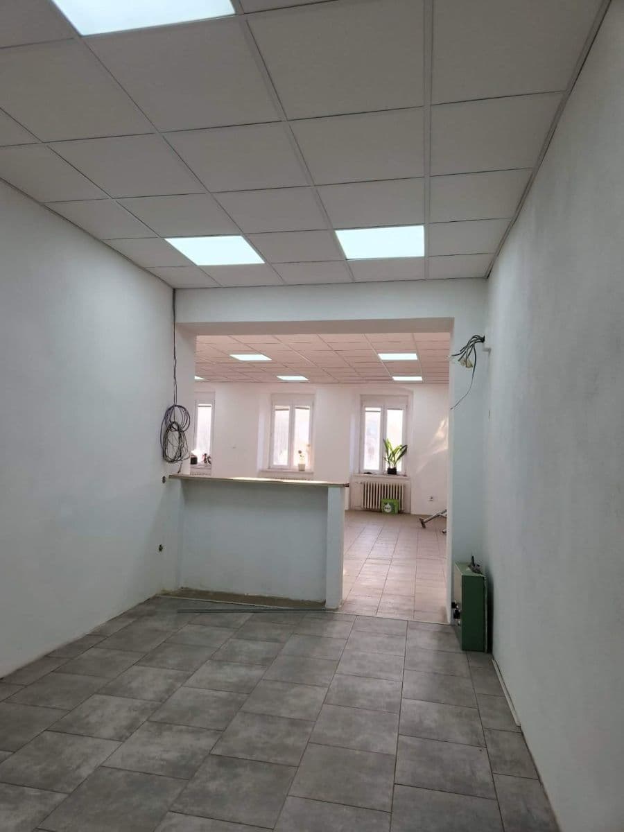 Prenájom nebytového priestoru 241 m², Masarykovo nám., Přeštice, Plzeňský kraj Prenájom nebytového priestoru 241 m², Masarykovo nám., Přeštice, Plzeňský kraj