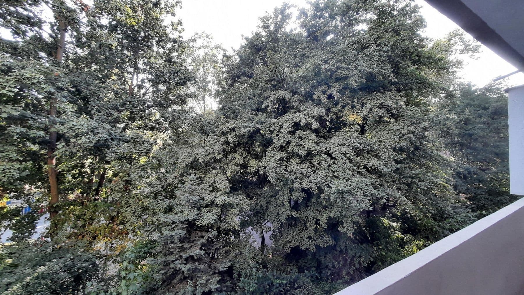 Predaj bytu 1-izbový 37 m², Raupelsweg 9, Mainz, Porýnie-Falcko Predaj bytu 1-izbový 37 m², Raupelsweg 9, Mainz, Porýnie-Falcko