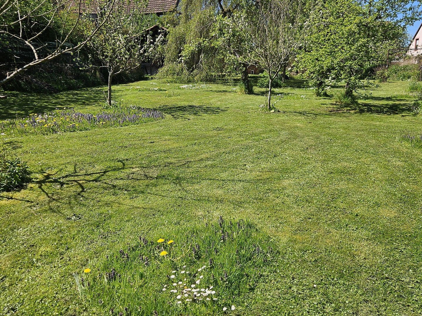 Predaj domu 264 m², pozemok 1.765 m², Niedermohr, Porýnie-Falcko Predaj domu 264 m², pozemok 1.765 m², Niedermohr, Porýnie-Falcko