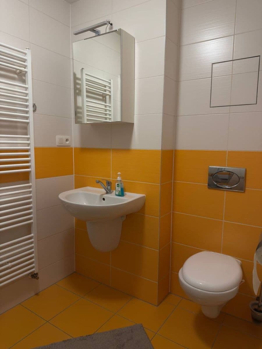 Prenájom bytu 1-izbový 34 m², Běluňská, Praha, Praha Prenájom bytu 1-izbový 34 m², Běluňská, Praha, Praha