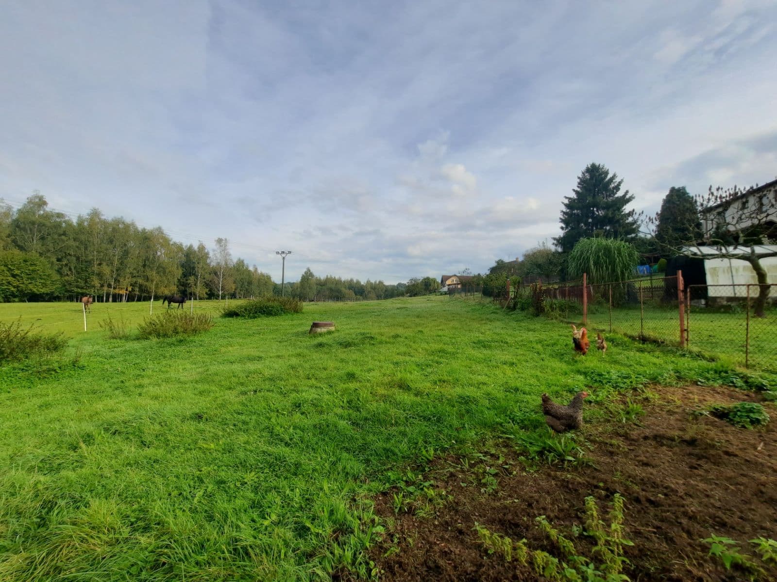 Predaj domu 415 m², pozemok 4.995 m², Petrovice u Karviné, Moravskoslezský kraj Predaj domu 415 m², pozemok 4.995 m², Petrovice u Karviné, Moravskoslezský kraj