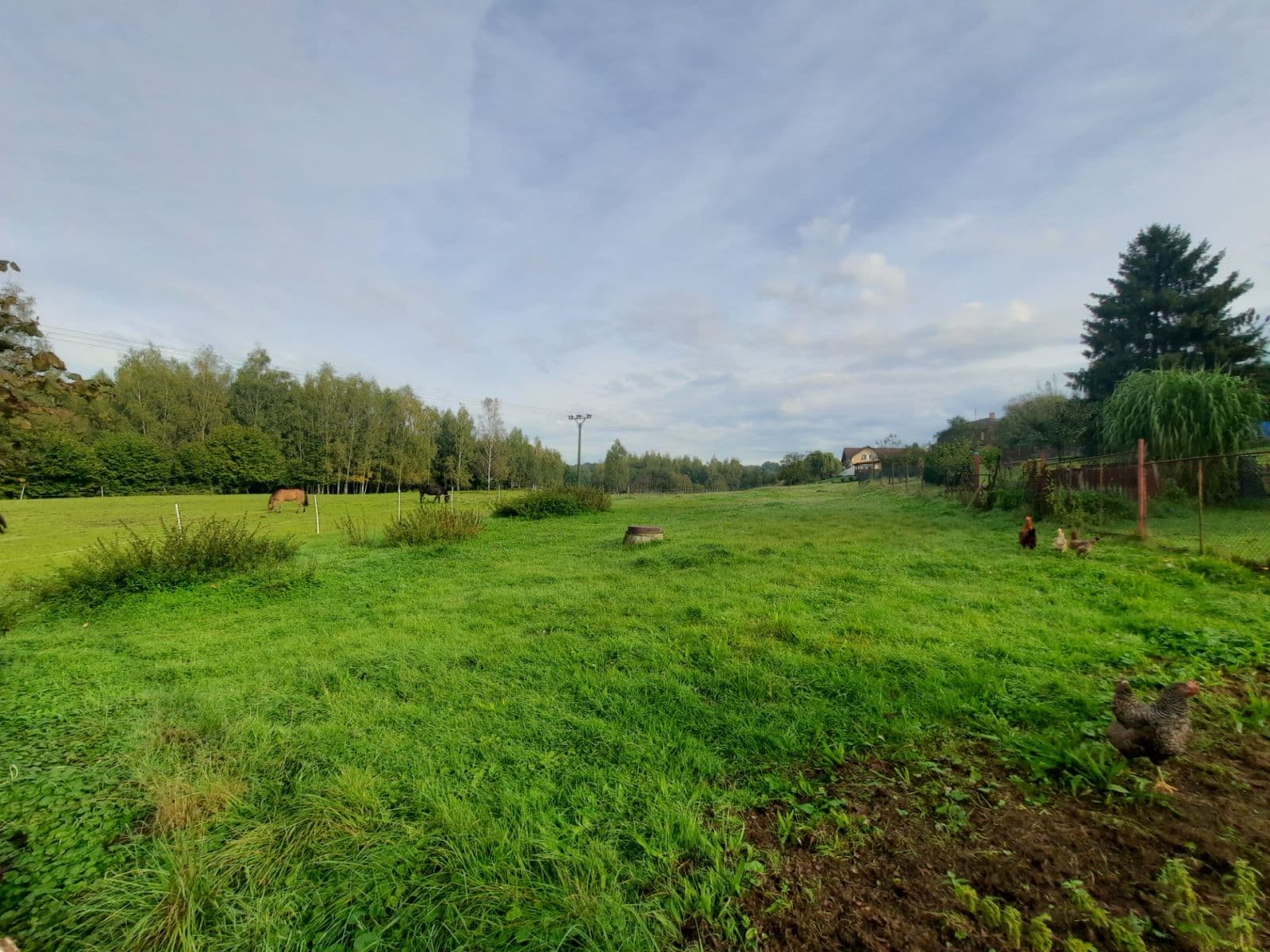 Predaj domu 415 m², pozemok 4.995 m², Petrovice u Karviné, Moravskoslezský kraj Predaj domu 415 m², pozemok 4.995 m², Petrovice u Karviné, Moravskoslezský kraj