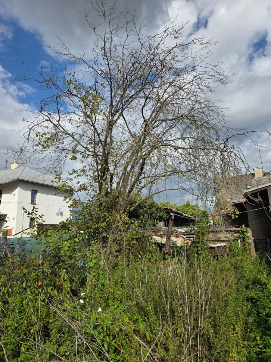 Predaj domu 105 m², pozemok 579 m², Vítězná, Litovel, Olomoucký kraj Predaj domu 105 m², pozemok 579 m², Vítězná, Litovel, Olomoucký kraj