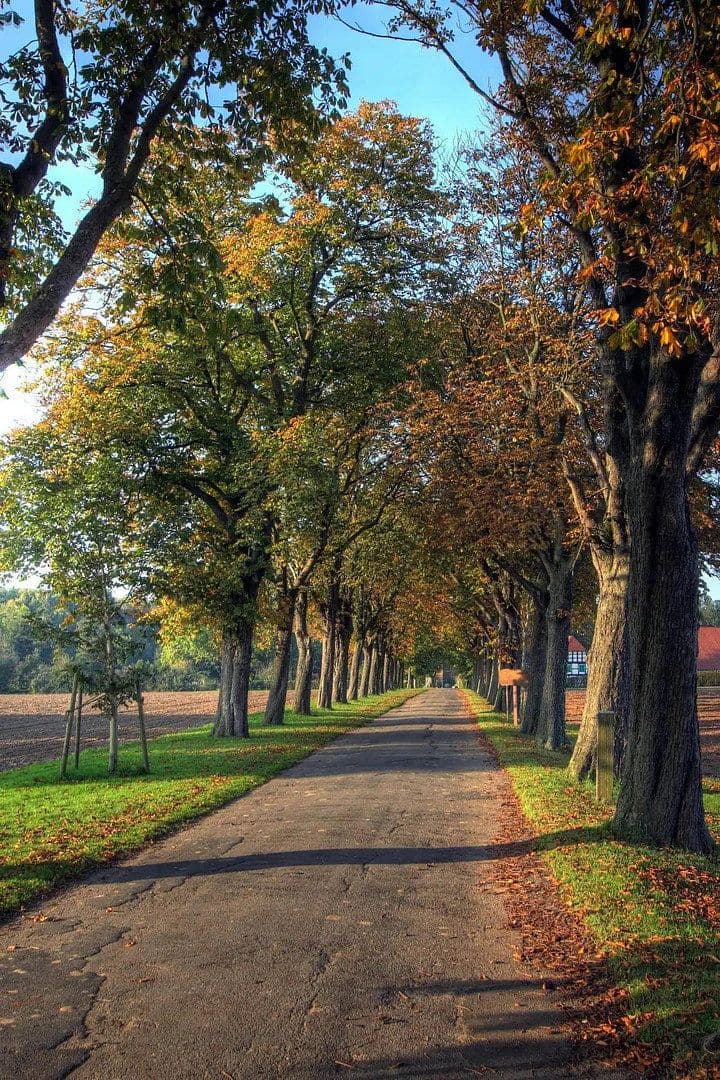Prenájom bytu 3-izbový 90 m², Borgholzhausen, Severné Porýnie - Westfálsko Prenájom bytu 3-izbový 90 m², Borgholzhausen, Severné Porýnie - Westfálsko