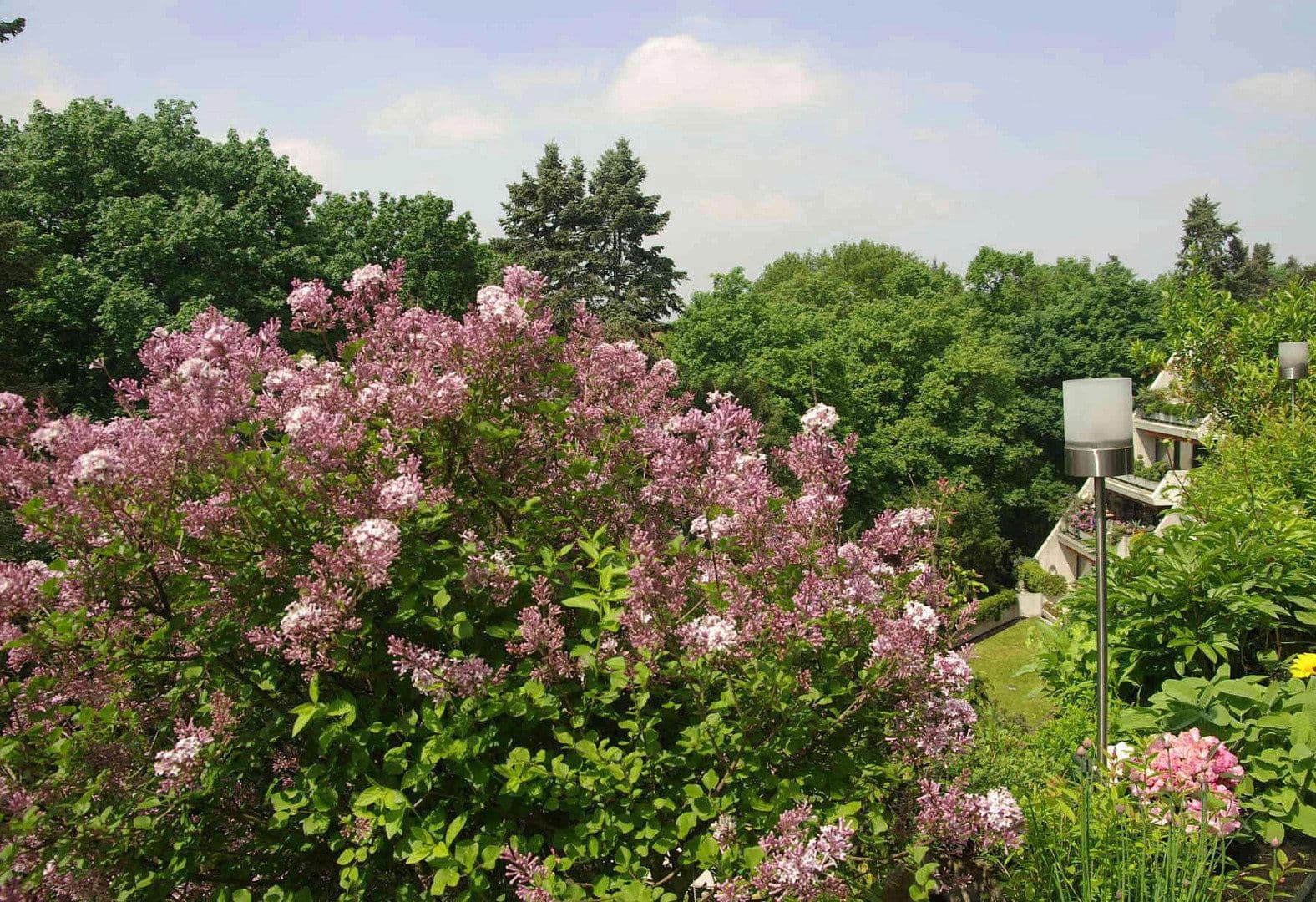 Prenájom bytu 1-izbový 55 m², Virchowstrasse 1, Nürnberg, Bavorsko Prenájom bytu 1-izbový 55 m², Virchowstrasse 1, Nürnberg, Bavorsko