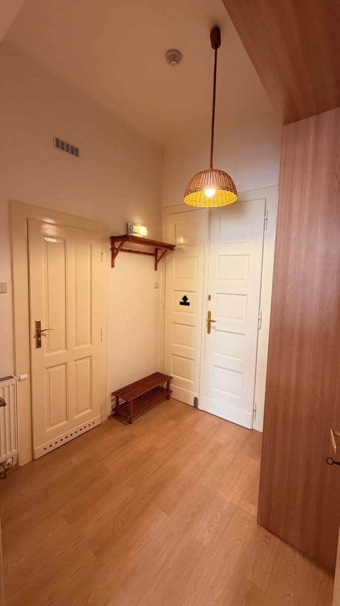 Prenájom bytu 1-izbový 50 m², Haškova, Praha, Praha Prenájom bytu 1-izbový 50 m², Haškova, Praha, Praha