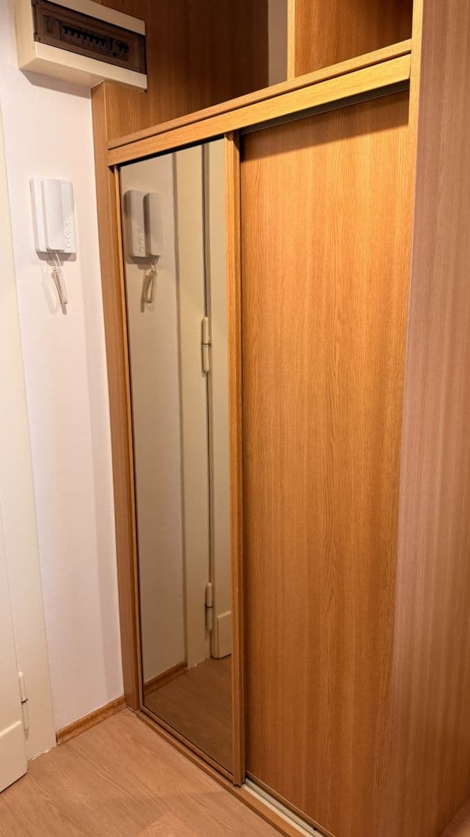 Prenájom bytu 1-izbový 50 m², Haškova, Praha, Praha Prenájom bytu 1-izbový 50 m², Haškova, Praha, Praha