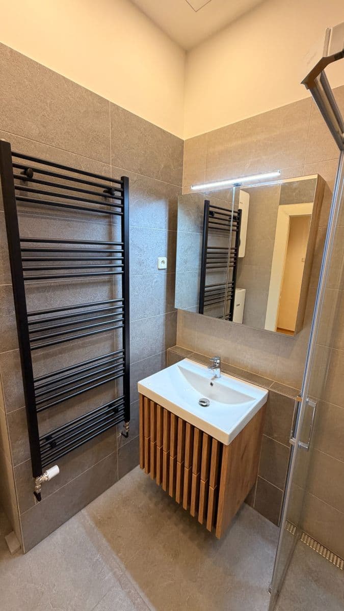 Prenájom bytu 1-izbový 50 m², Haškova, Praha, Praha Prenájom bytu 1-izbový 50 m², Haškova, Praha, Praha
