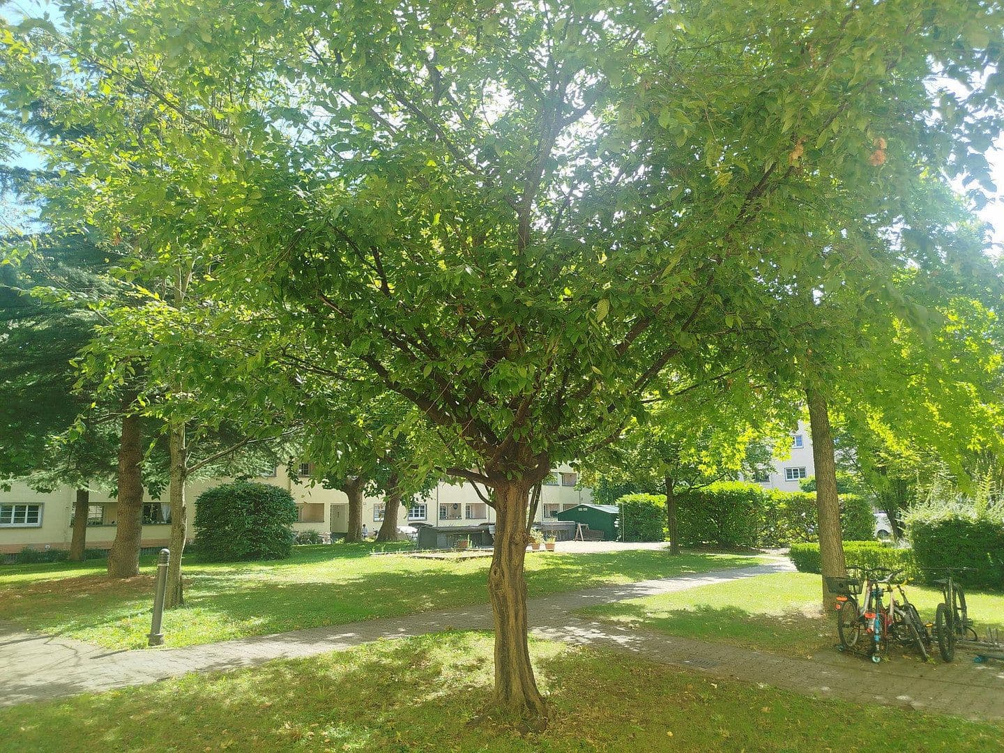 Predaj bytu 3-izbový 95 m², Friedrich-Ebert-Straße 40, Mannheim, Bádensko-Wurttembersko Predaj bytu 3-izbový 95 m², Friedrich-Ebert-Straße 40, Mannheim, Bádensko-Wurttembersko