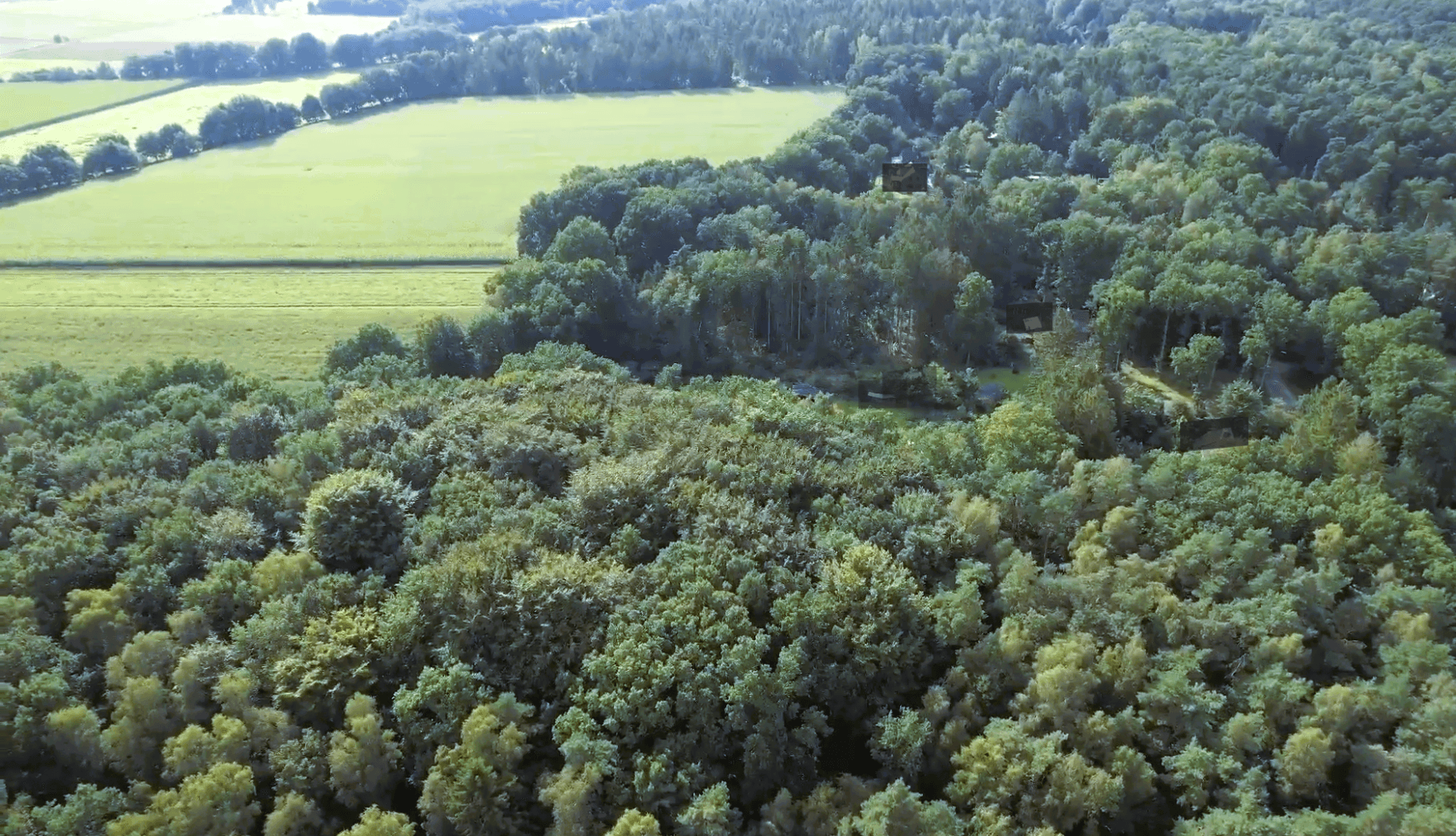 Predaj domu 418 m², pozemok 5.380 m², Hollenstedt, Dolné Sasko Predaj domu 418 m², pozemok 5.380 m², Hollenstedt, Dolné Sasko