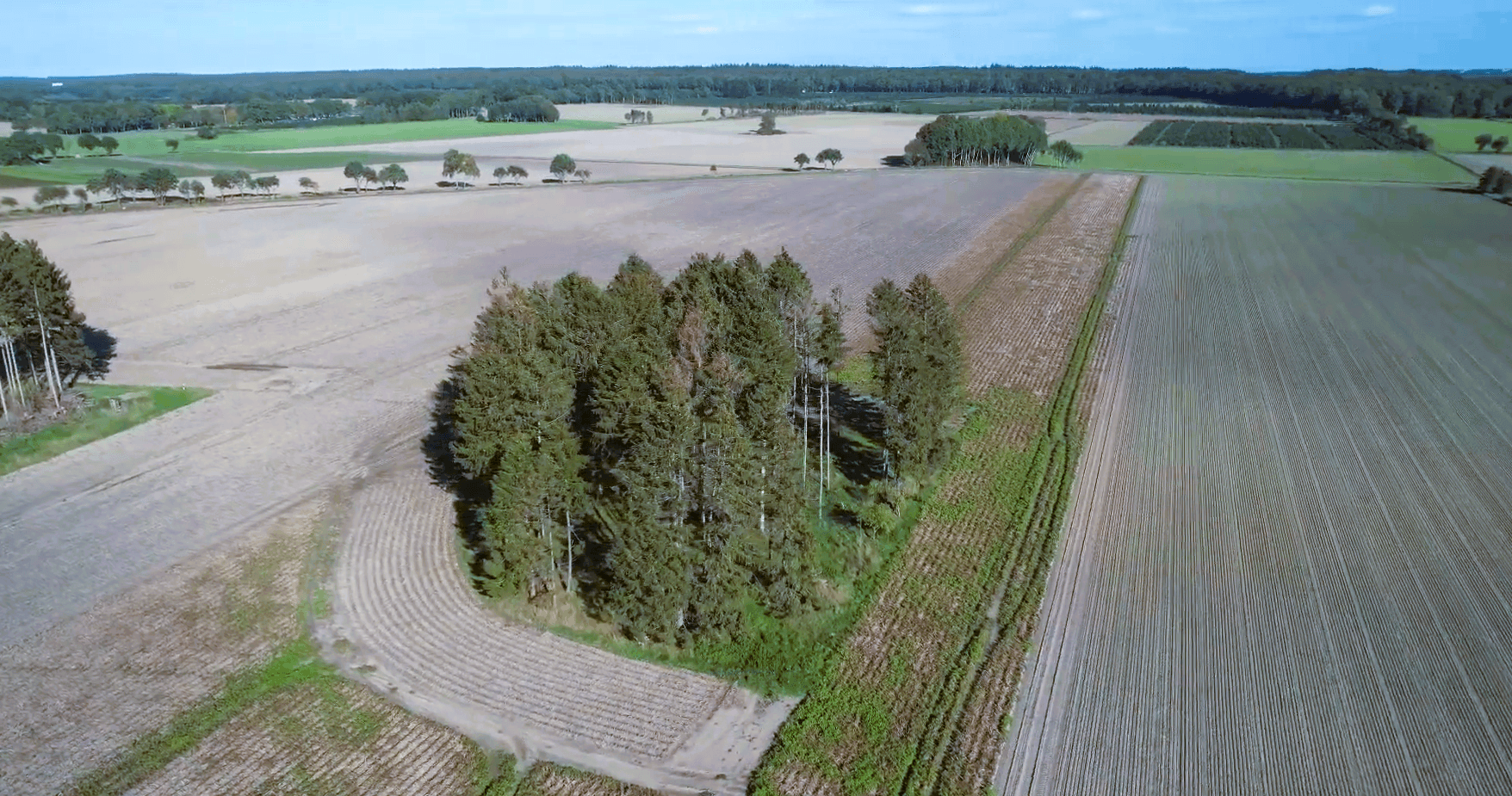 Predaj domu 418 m², pozemok 5.380 m², Hollenstedt, Dolné Sasko Predaj domu 418 m², pozemok 5.380 m², Hollenstedt, Dolné Sasko